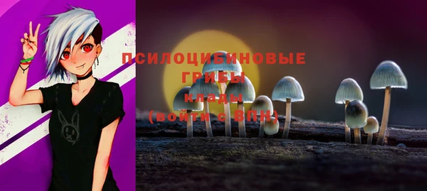 МДПВ Липки