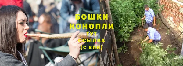МДПВ Липки